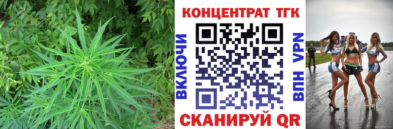 Купить где  Южноуральск  ТГК Wax 