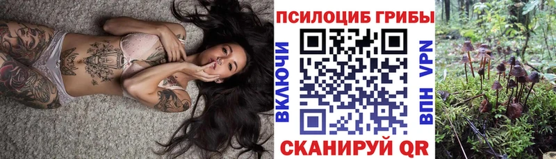 Купить закладки  Южноуральск  Галлюциногенные грибы мицелий 